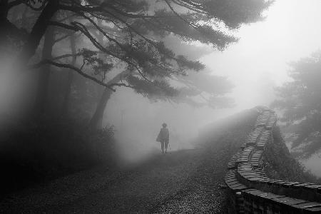 Castle in Mist