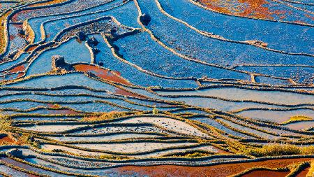 Terraced Field-4