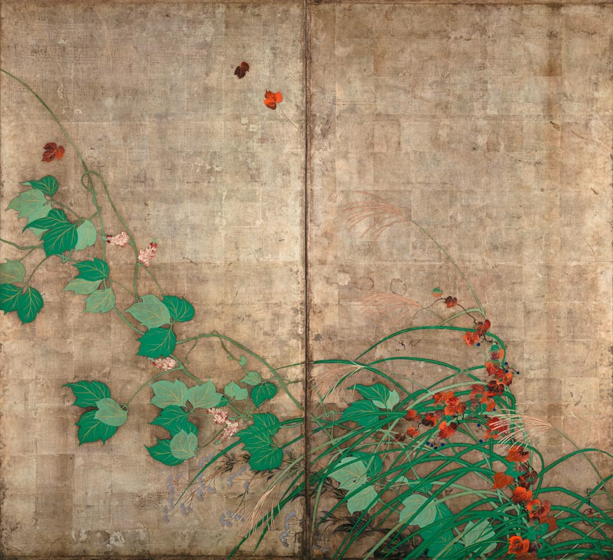 Summer and autumn flower plants. (Part of the pair of two-fold screens) à Sakai Hoitsu