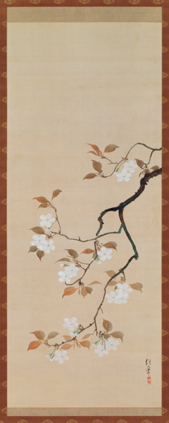 Hanging Scroll Depicting Cherry Blossoms, from A Triptych of the Three Seasons, Japanese, early 19th à Sakai Hoitsu