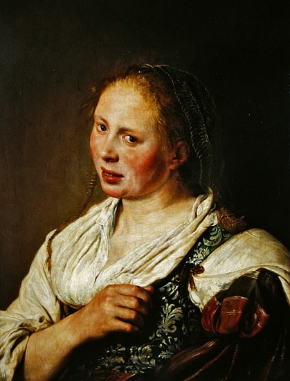Painting of the young peasant à Salomon de Bray