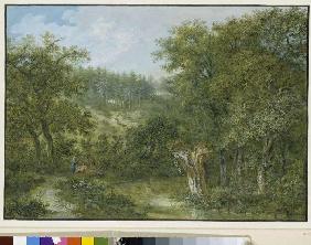 Paysage de forêt.