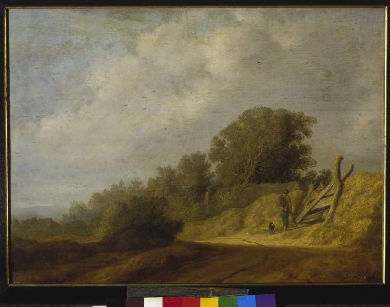 Paysage avec la chemin à Salomon van Ruysdael