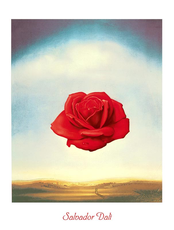 Rose meditative à Salvador Dali