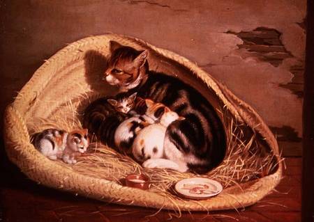 Cat with Her Kittens in a Basket à Samuel de Wilde