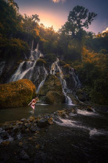 A Dip in Paradise