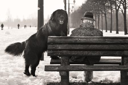 One man and his dog