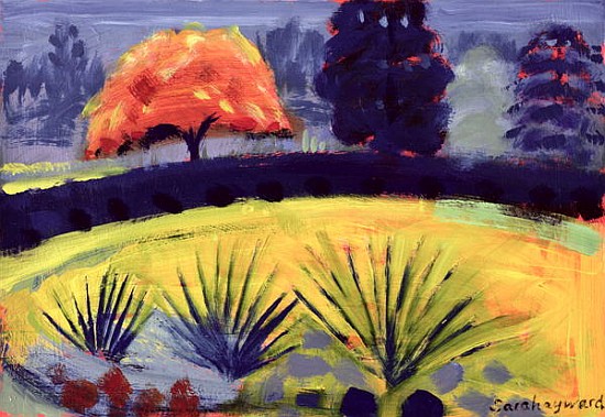Botanical Gardens, Autumn (oil on card)  à Sara  Hayward