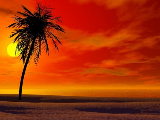 Tropical sunset à Sarah Holmlund