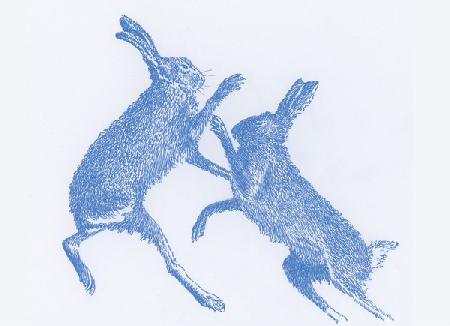 Boxing Hares