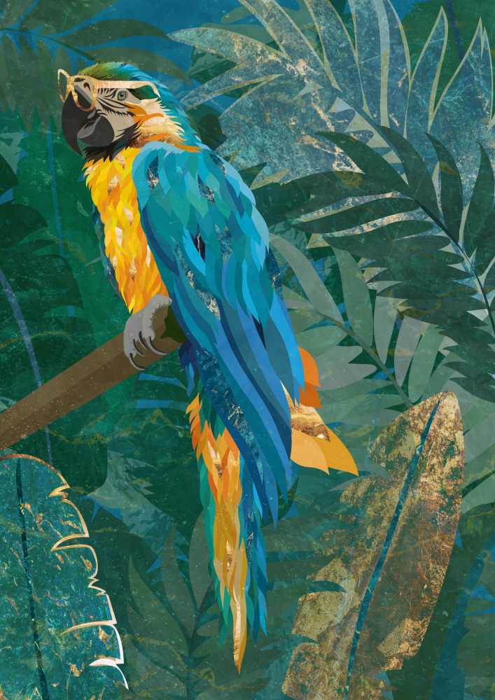Blue parrot in the rainforest à Sarah Manovski
