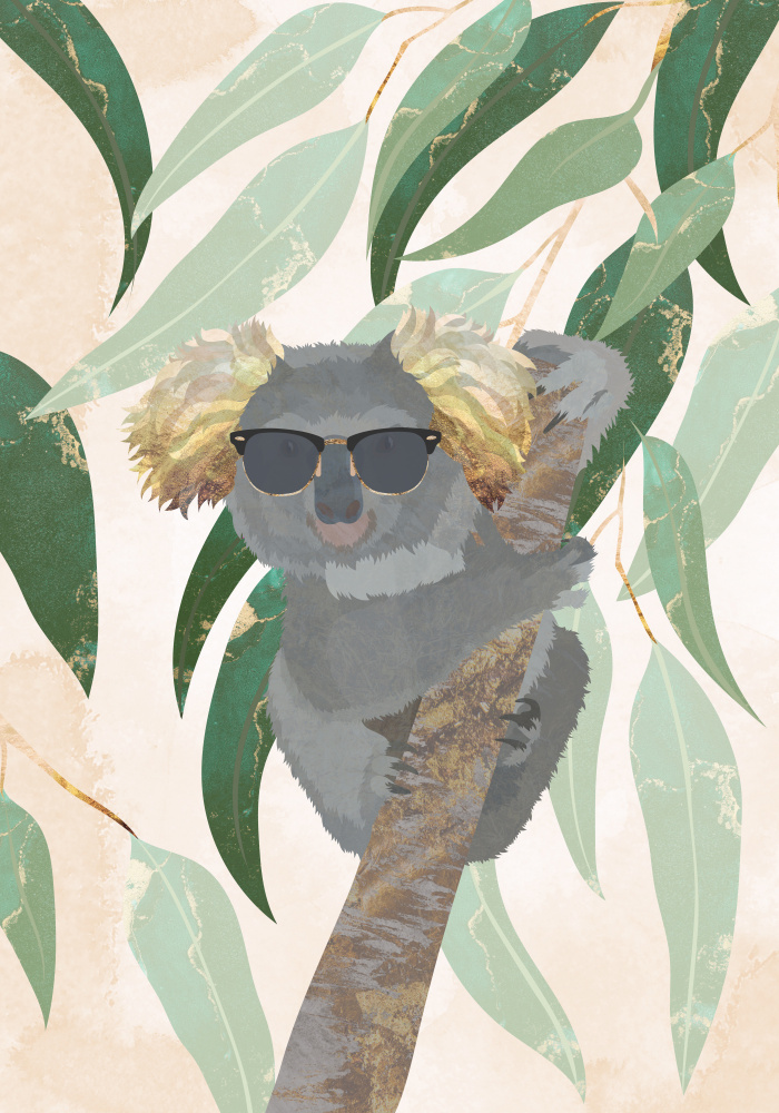 Cool Koala à Sarah Manovski