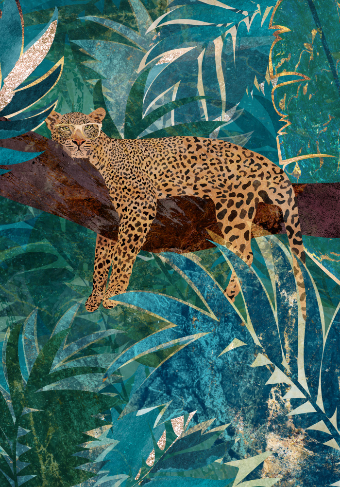 Lazy Leopard in the jungle à Sarah Manovski