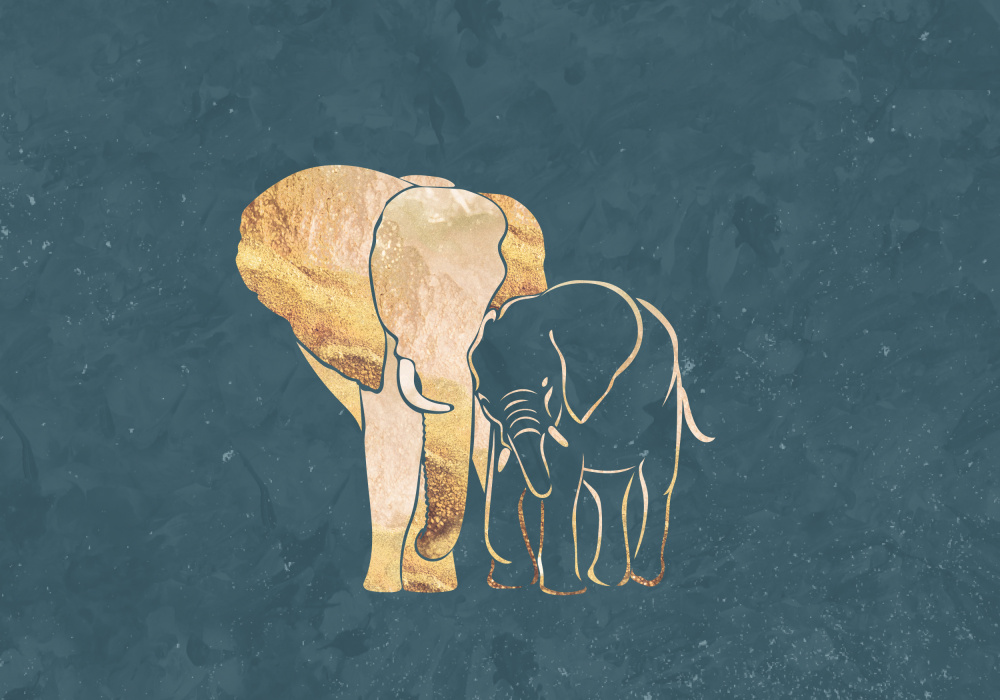 Gold Elephant Line art Silhouettes 2 à Sarah Manovski