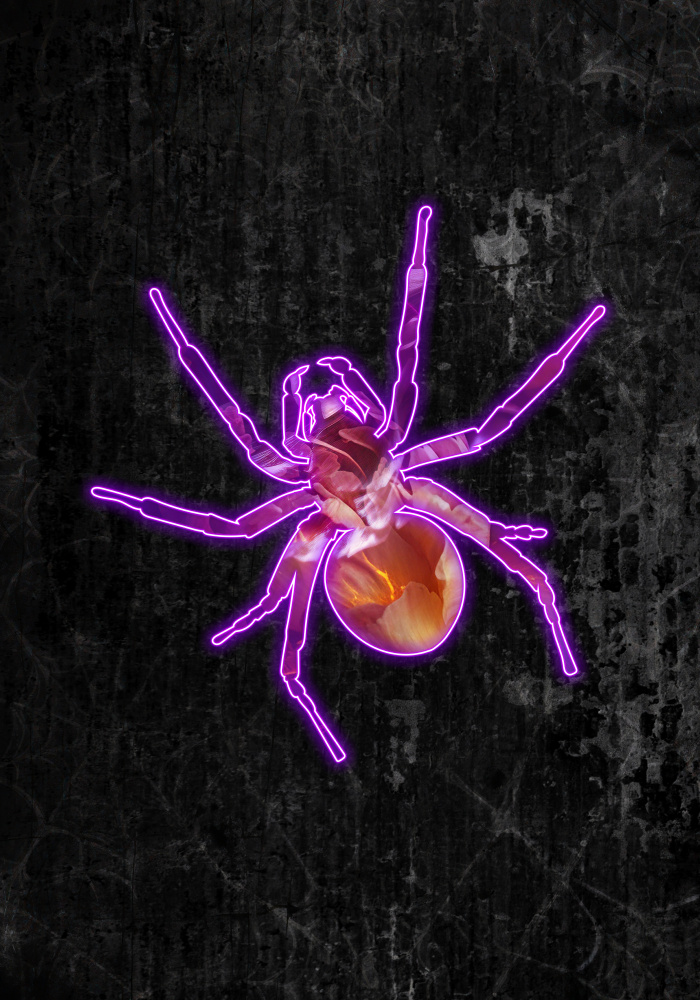 Neon halloween spider à Sarah Manovski