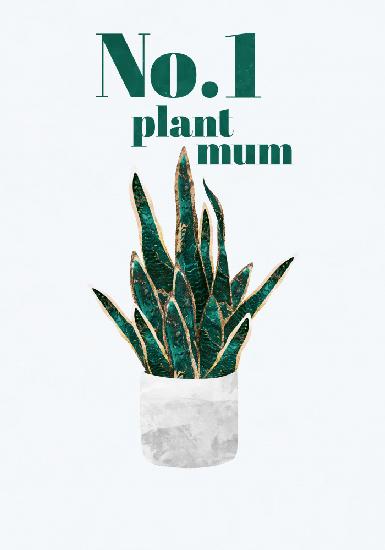 Plant typography quote text 3