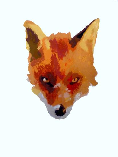 Fox face