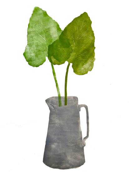 grey jug with leaves