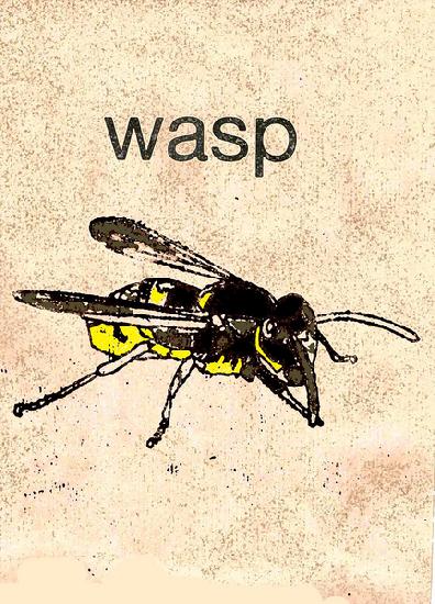 wasp