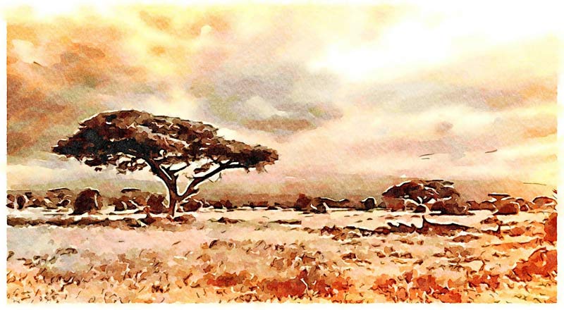 Afrikanische Landschaft à Saskia Ben Jemaa