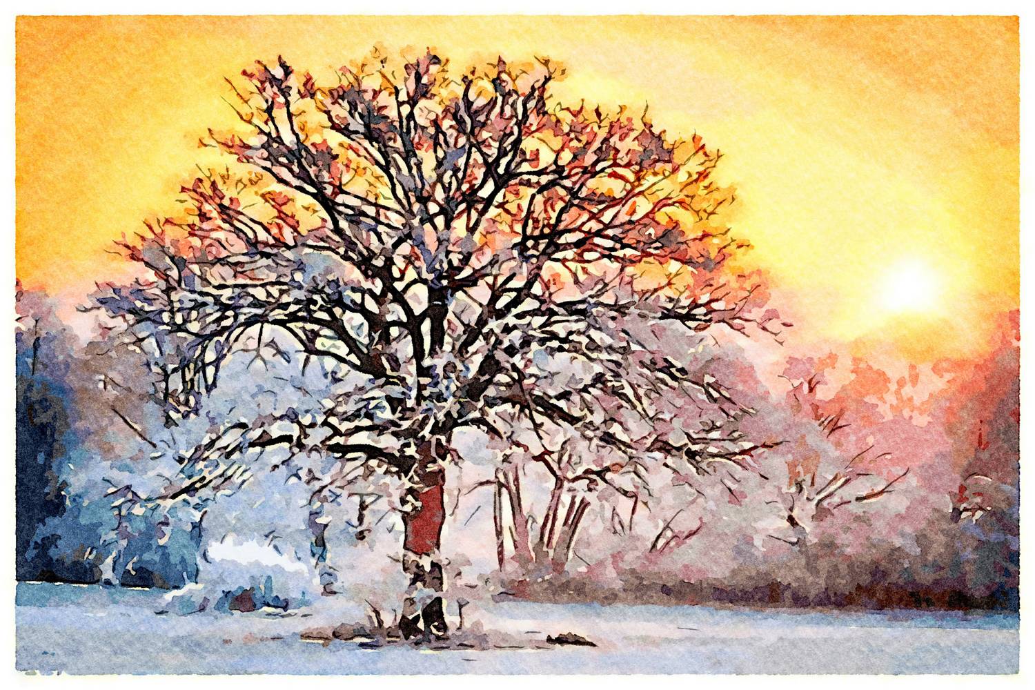 Baum im Sonnenuntergang à Saskia Ben Jemaa
