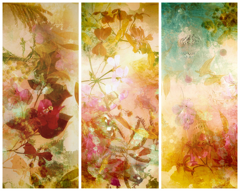 Flower abstractions  with mimosa, shells ,bougainvillea  floating in water.. Trilogy . à Saskia Dingemans
