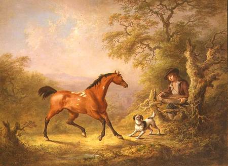 A Groom Feeding a Horse à Sawrey Gilpin
