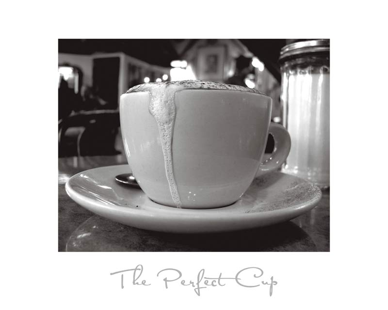 The Perfect Cup à Scott Amour
