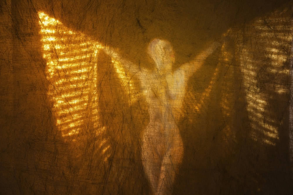Angel Basking in the Light à Scott Michaels