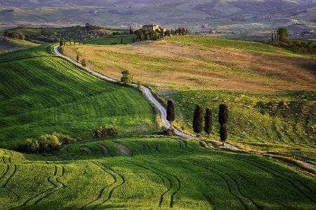 Strade Bianche