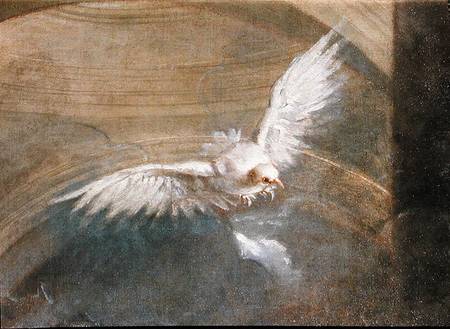 The Dove of the Holy Spirit  (detail of 230043) à Sebastiano Bombelli