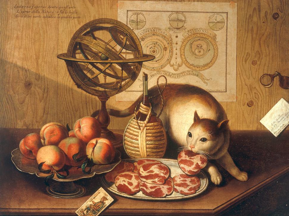 Still-life with cat à Sebastiano Lazzari