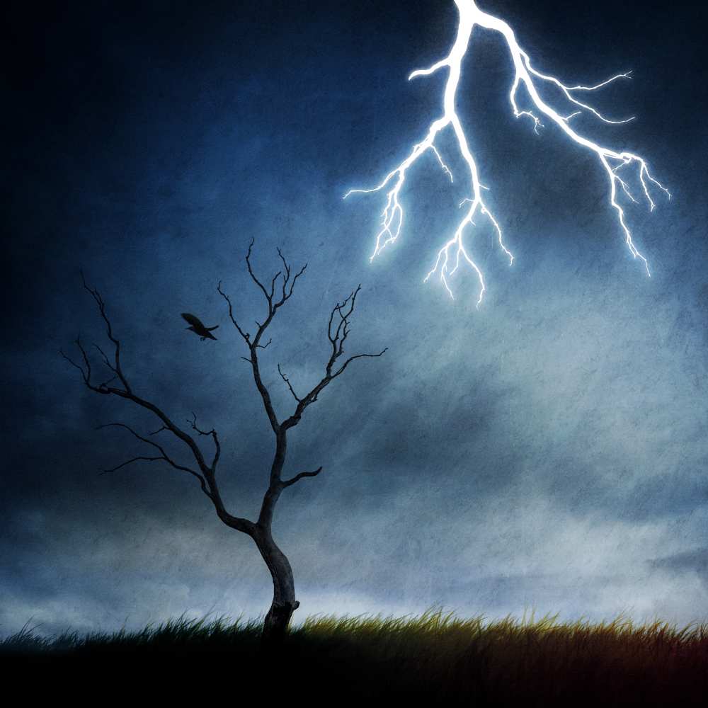 lightning tree à Sebastien DEL GROSSO