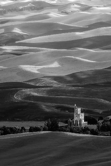 Palouse Fields