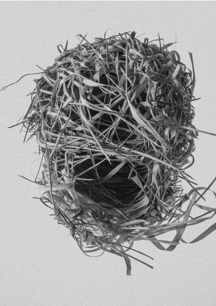 Weavers Nest à Shot by Clint