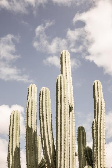 Desert Cathedral No2