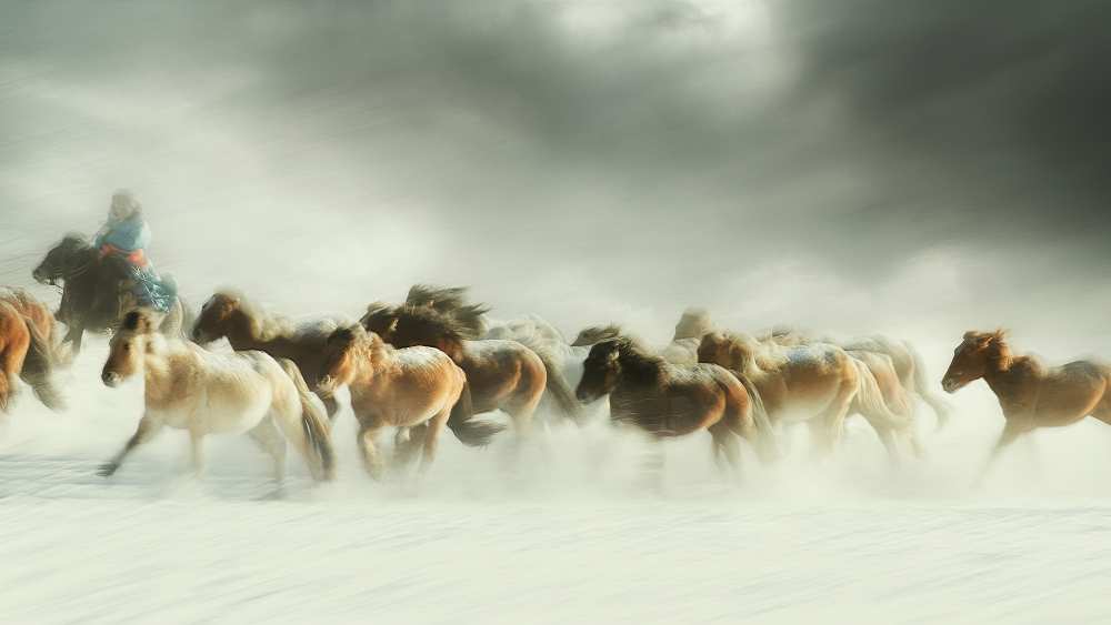 Horses gallop à Shu-Guang Yang