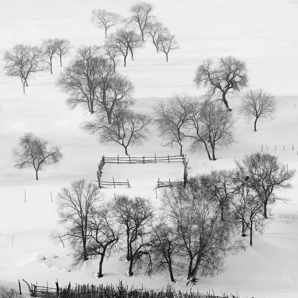 Black and white world, quietly waiting. à Shu-Guang Yang