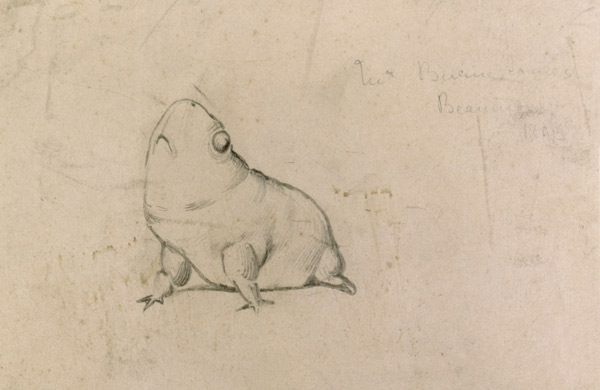 Bull Frog à Sir Edward Burne-Jones
