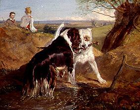 deux chiens dans la lutte pour d'un Stoeckchen à Sir Edwin Henry Landseer