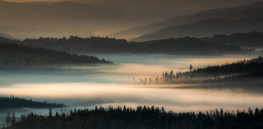 Magic of mists. à Slawomir Kowalczyk