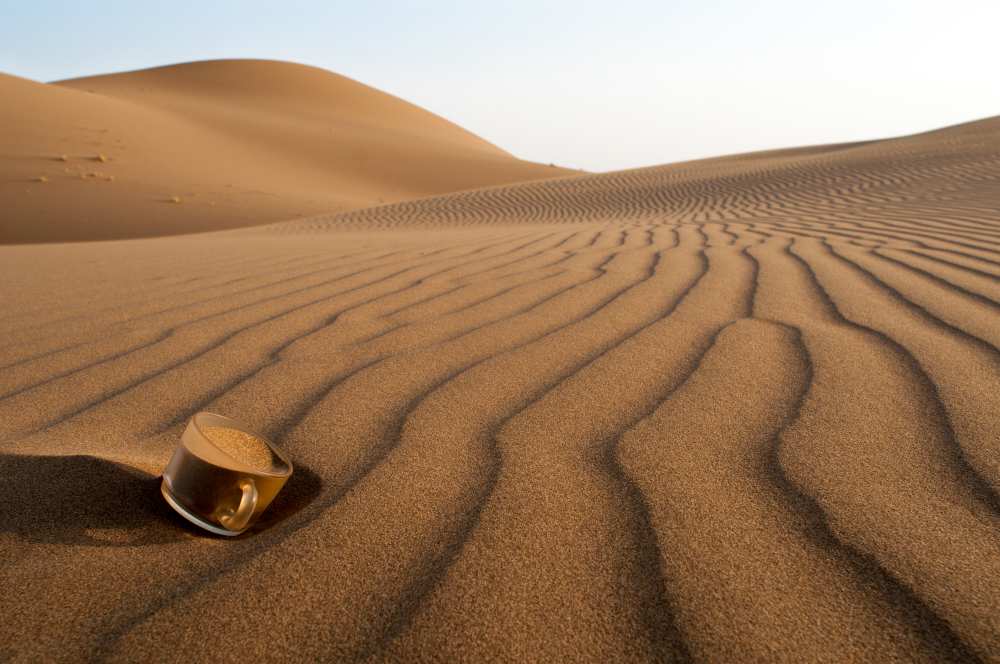The thirsty desert. à Soheil Soheily