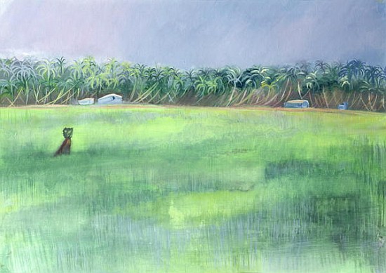 Rice Fields, Goa, India, 1997 (oil on paper)  à Sophia  Elliot