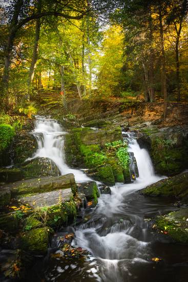 Automne à la cascade