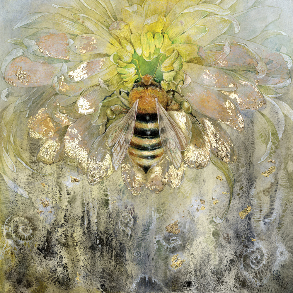 Honeybee à Stephanie Law
