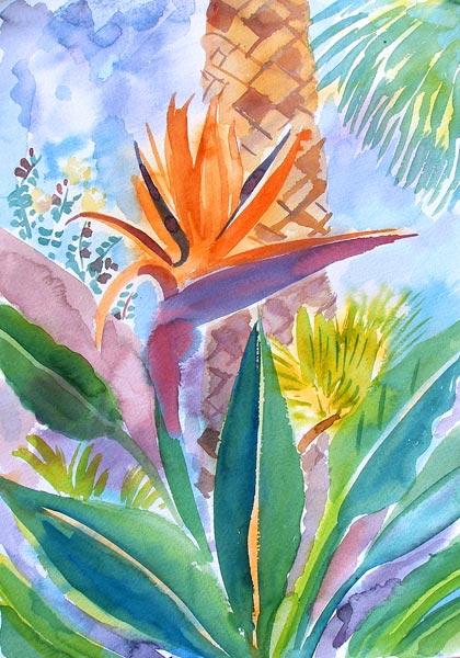 Bird of Paradise Flower à Mary Stubberfield