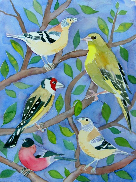 Finches à Mary Stubberfield