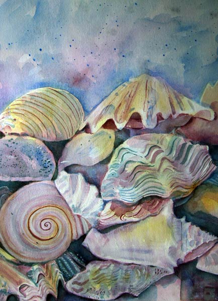 Shells à Mary Stubberfield