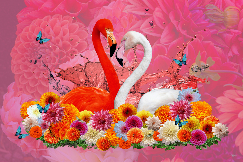 Flamingo &amp; Dahlias Spring à Sue Skellern