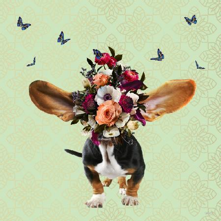 Spring Flower Bonnet On Doggy